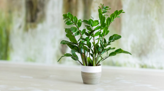 Avoid these two types of people if you want to thrive in the cryptocurrency market