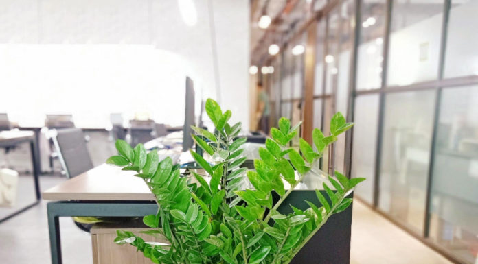 Planting a Fortune: The Secret to Wealth for those with these 2 Chinese Zodiac Signs