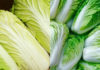 Which is better: green or white cabbage? Many experienced housewives are also surprised