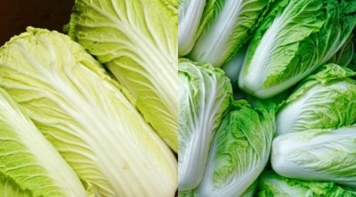 Which is better: green or white cabbage? Many experienced housewives are also surprised