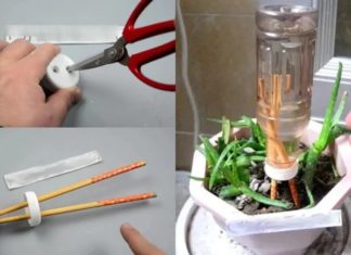 Fix 5 big problems easily with this simple trick: Stick two chopsticks in a plastic bottle