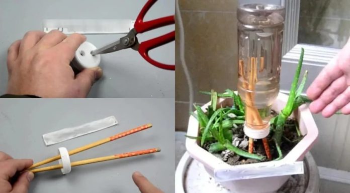 Fix 5 big problems easily with this simple trick: Stick two chopsticks in a plastic bottle