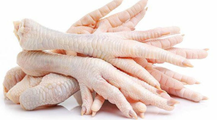 Delicious Homemade Grilled Chicken Feet Using an Air Fryer: Satisfy Your Cravings Without Worrying About Chemicals