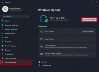 Setting up a new computer: 5 essential steps to personalize it your way