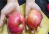 Buy an apple with this score: Crispy, sweet and packed with nutrients