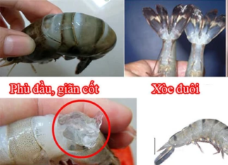 Simplified version: “Seller says: Find out if the shrimp is farmed or wild in one simple step”