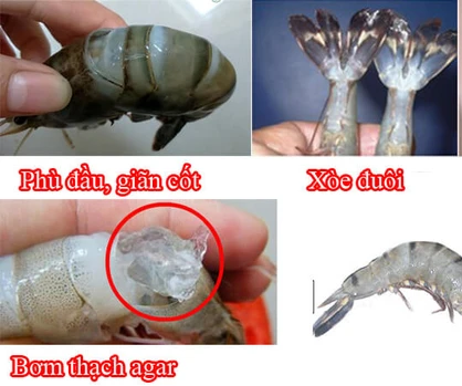 Simplified version: “Seller says: Find out if the shrimp is farmed or wild in one simple step”