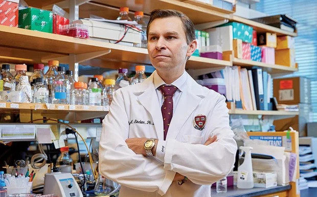 Lemon Water: The Secret to Looking 10 Years Younger, Why You Should Try It and the Right Way to Drink It