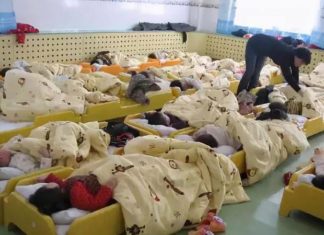 Three-year-old praised by teacher for excellent nap behavior, prompting immediate school transfer by mother