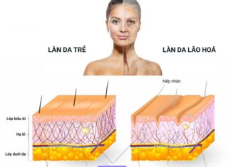 Don’t overdose on Collagen, essential tips to keep your beauty intact