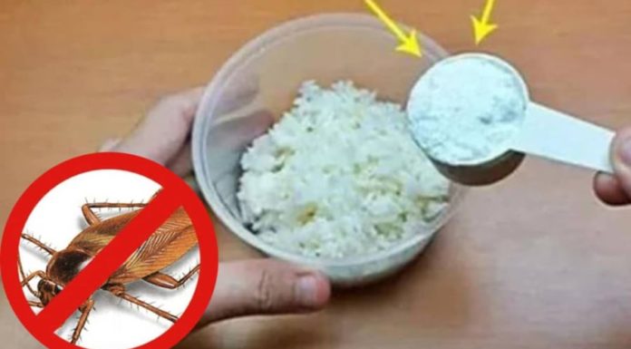 Mixing leftover rice with laundry detergent: Solve common household problems, save millions of dollars.