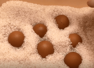 6 Simple Ways to Store Eggs without Refrigeration and Keep them Fresh and Nutritious for a Year
