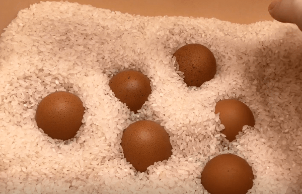 6 Simple Ways to Store Eggs without Refrigeration and Keep them Fresh and Nutritious for a Year