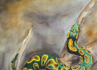 The Future Unveiled: Manifesting Abundance at 4, a Year of Endless Wealth