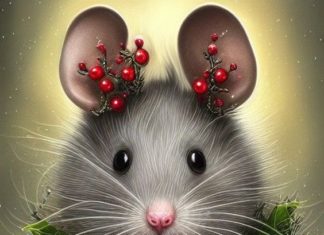 Why do the elders say: “Don’t love the Rat Age, don’t marry the Tiger Age, don’t get close to the Rooster Age”?