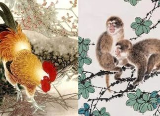 Hello Tiger Year 2024: 4-year-old escapes poverty, fortune rushes like a storm