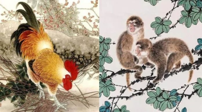 Hello Tiger Year 2024: 4-year-old escapes poverty, fortune rushes like a storm