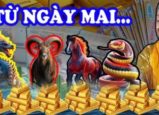 The Magic of Christmas: A Young Child’s Fortune Transformed into a Joyful Abundance