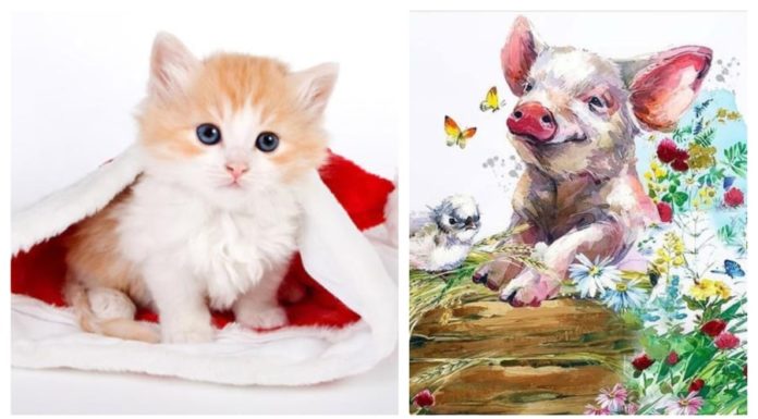 4-year-old wealth flows like water in October of the Lunar calendar: Whatever you wish for at the age of 1, you can easily achieve it.