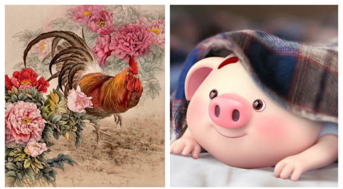 Unlucky October: 3-year-old successfully transforms into Dragon Carp, Love and Money shine brightly.