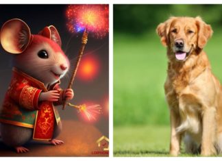 The Little Millionaire: A 5-Year-Old’s September Windfall