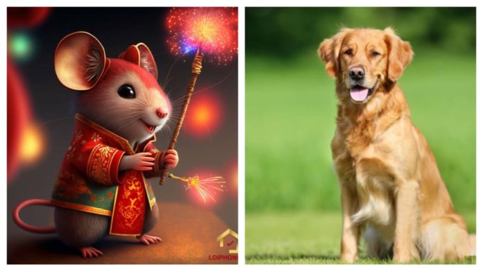 The Little Millionaire: A 5-Year-Old’s September Windfall