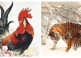 The Lunar Dragon’s Fortuitous Toil: 15 Days of October’s Moon