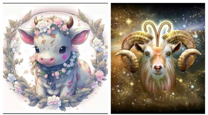 After Mid-Autumn Festival to Tet in 2025: At the age of 5, Buddha’s blessings are bestowed, whatever is wished for comes true, having millions in hand early.