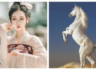 The God of Wealth’s Golden Book: 3-year-old escapes bad luck and wins the lottery, opening a new chapter of a vibrant life