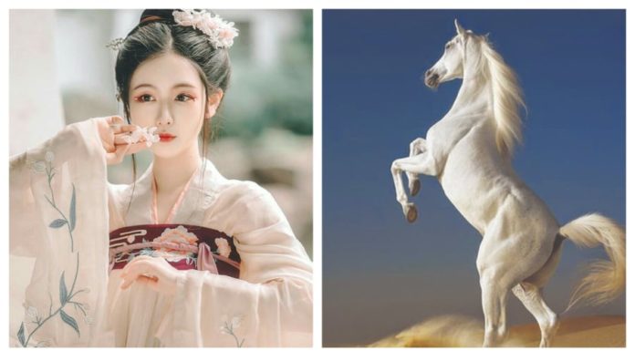 The God of Wealth’s Golden Book: 3-year-old escapes bad luck and wins the lottery, opening a new chapter of a vibrant life