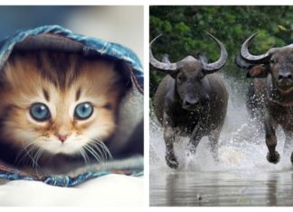 Running Sky: 3-Year Luck and Fortunes, Sitting Down Also Brings 3 Months of Wealth in the Last Quarter of 2023, and 1 Year of Poverty