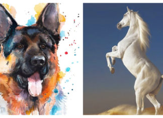 Golden Hour is here: From today, 10/10 onwards, 3 zodiac signs will transform their lives, becoming wealthy overnight.