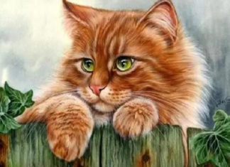 4 Lucky Zodiacs Surrounding, Money-filled Pockets and Love-filled Hearts Welcoming a Warm and Full Chinese New Year