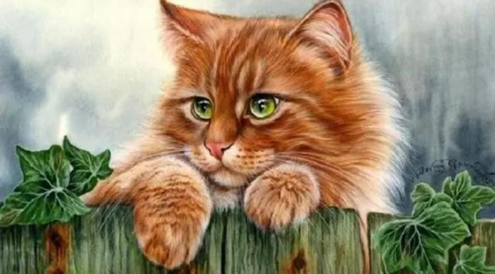 4 Lucky Zodiacs Surrounding, Money-filled Pockets and Love-filled Hearts Welcoming a Warm and Full Chinese New Year