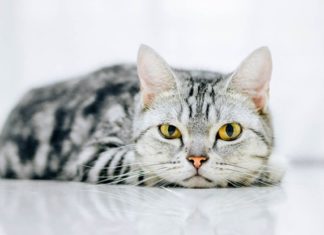 New Week (27/11 – 3/12): 2-year-old welcomes money with open arms, 1-year-old encounters trouble even while sitting still