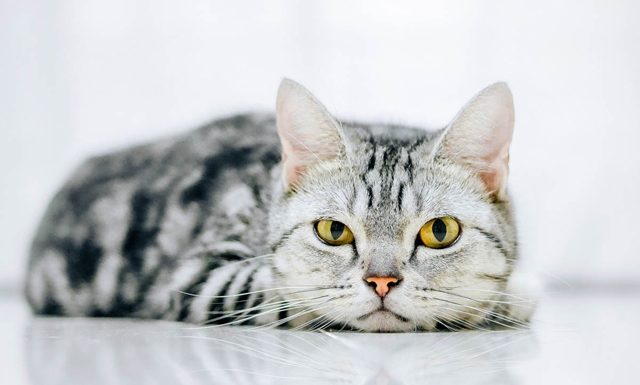 New Week (27/11 – 3/12): 2-year-old welcomes money with open arms, 1-year-old encounters trouble even while sitting still