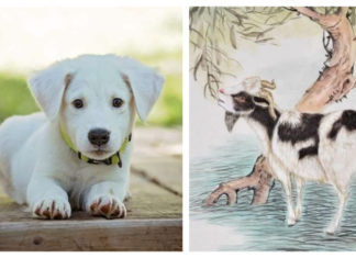 The Top 5 Fortunate Zodiac Signs in 2024: Prosperity and Abundance at Every Turn