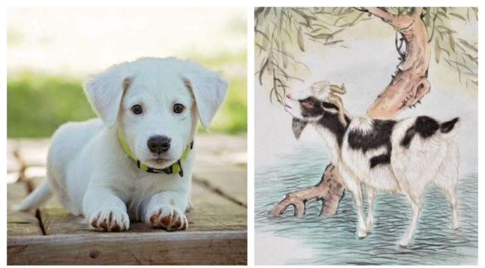 The Top 5 Fortunate Zodiac Signs in 2024: Prosperity and Abundance at Every Turn