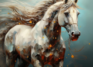 Rat chooses to stay in the car.