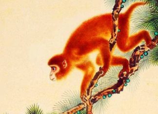 From now until December 26th: Cat Luck Converges, 4-Year-Old Unexpectedly Becomes Wealthy, Billionaire in Hand