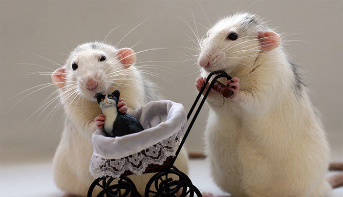 7 Days Ahead: Skyrocket Your Income at the Age of 4, Swim in Money, Especially the Carefree Number 2 Pressing Hard on Cash