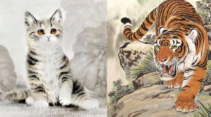 5 Days in December: 4-year-old makes money like water, riches beyond compare