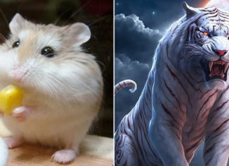 The Young Millionaire: Ngoc Hoang, Standing in a League of His Own