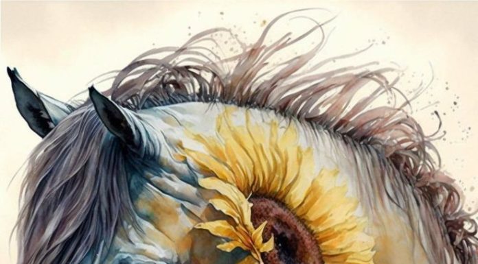 From now, 8/12 to 25/12: 4 years old receives the favor of the God of Wealth, money flows into pockets abundantly