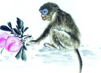 Late Wealth: Getting Richer with Age, Spend Money Freely and Endlessly