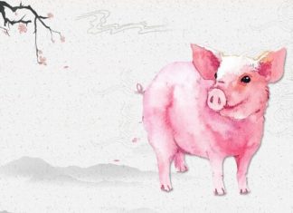 The Power to Prosper: Unlocking a Wealthy Future, Free from Hardship