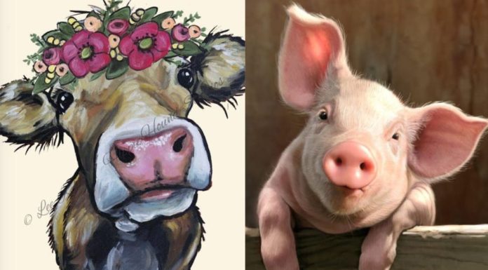 From now until Tet 2024: 3 lucky years, wherever you touch, money comes out, 1 unlucky year loses everything