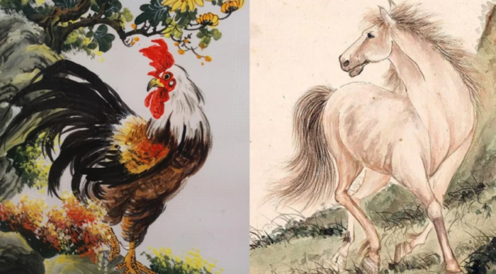 4-year-olds are money-making machines in the year of Giap Thin 2024: Wealth is soaring, dominating the world.