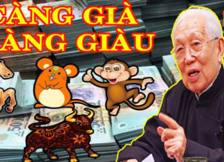 Late Bloomer: Growing Wealthier with Age, No Limit to Prosperity