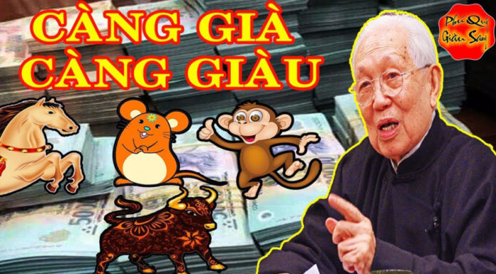 Late Bloomer: Growing Wealthier with Age, No Limit to Prosperity